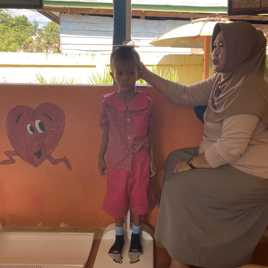 Kegiatan Posyandu Cempaka 2 Penimbangan dan Pengukuran Bayi dan Balita